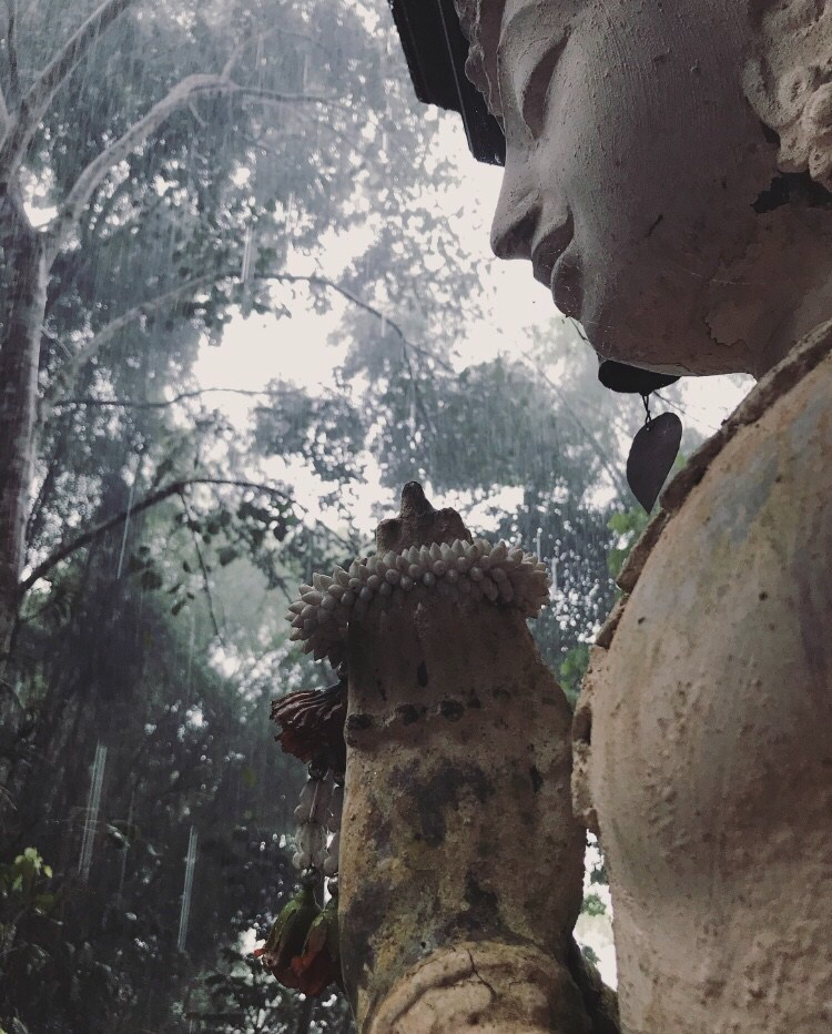 Develop A Gratitude Practice